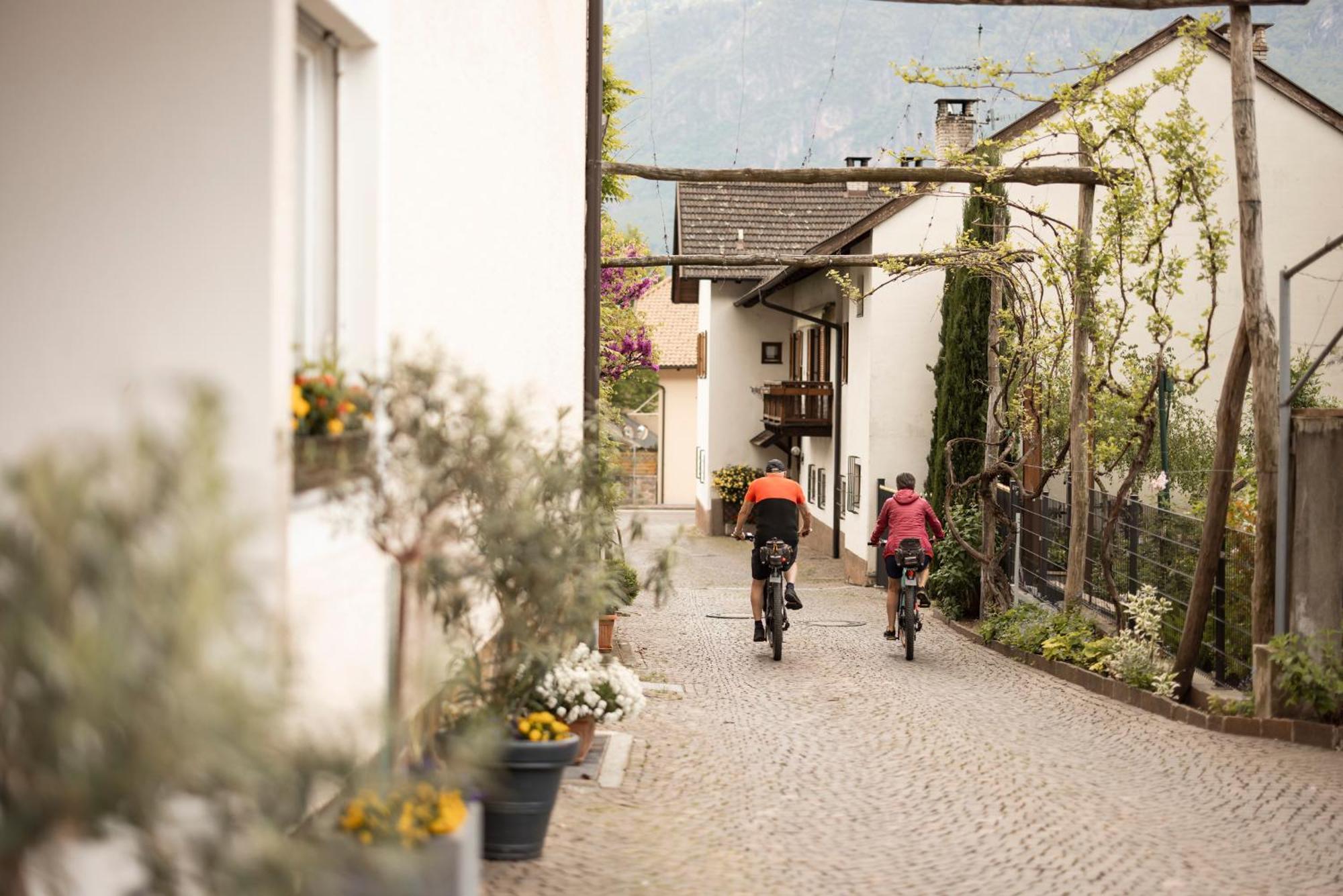 Weingarten Terlan - Rooms & Breakfast ภายนอก รูปภาพ